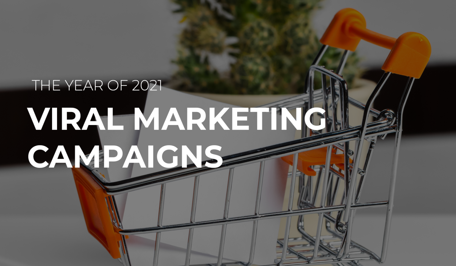 Viral Marketing Campaigns in 2021 and What Can We Learn from Them